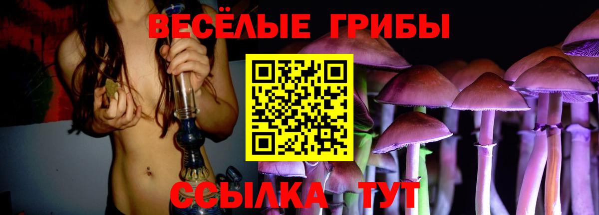 Галлюциногенные грибы Psilocybine cubensis  как найти закладки  Сердобск  Вход с VPN 